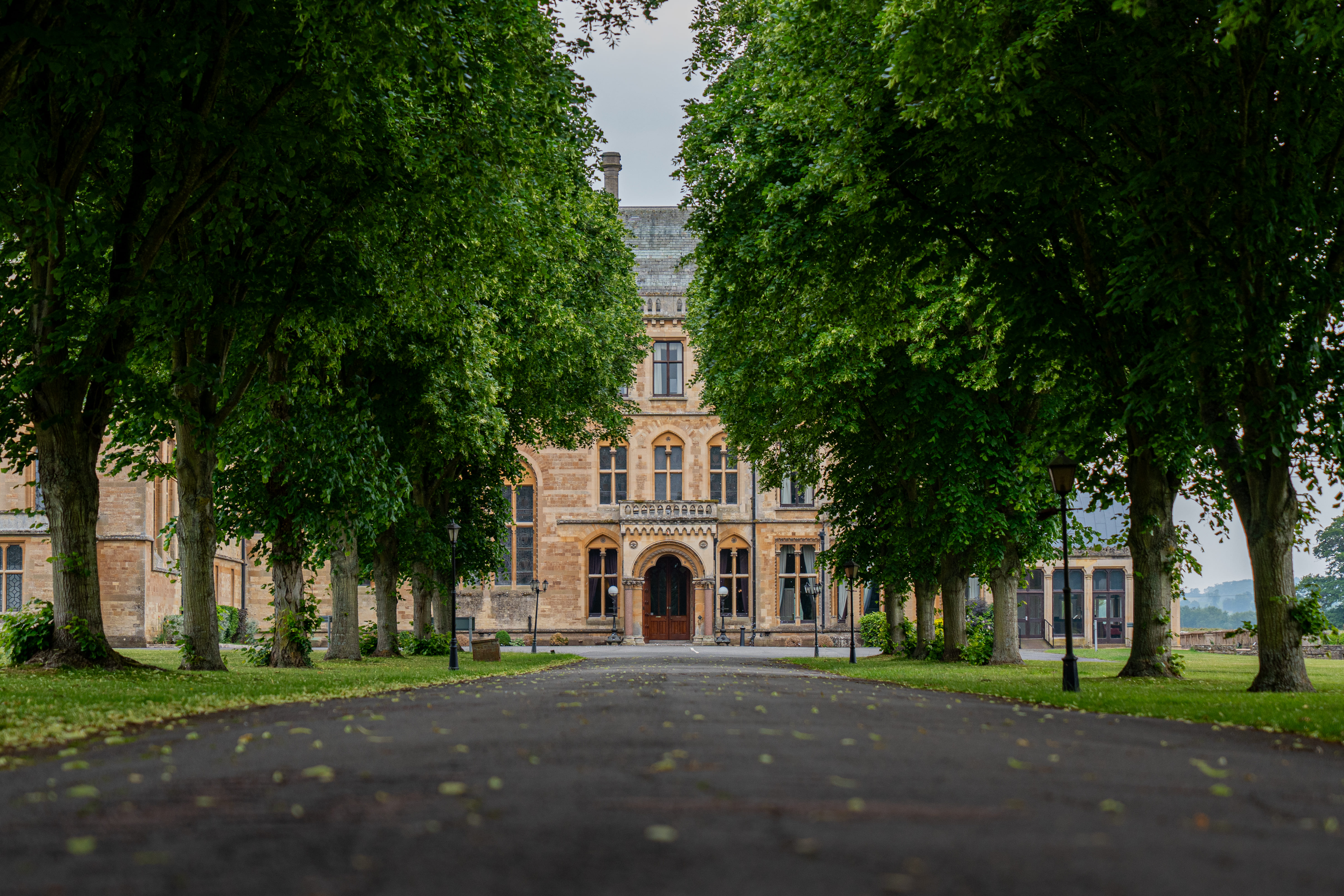 Hall Driveway Summer